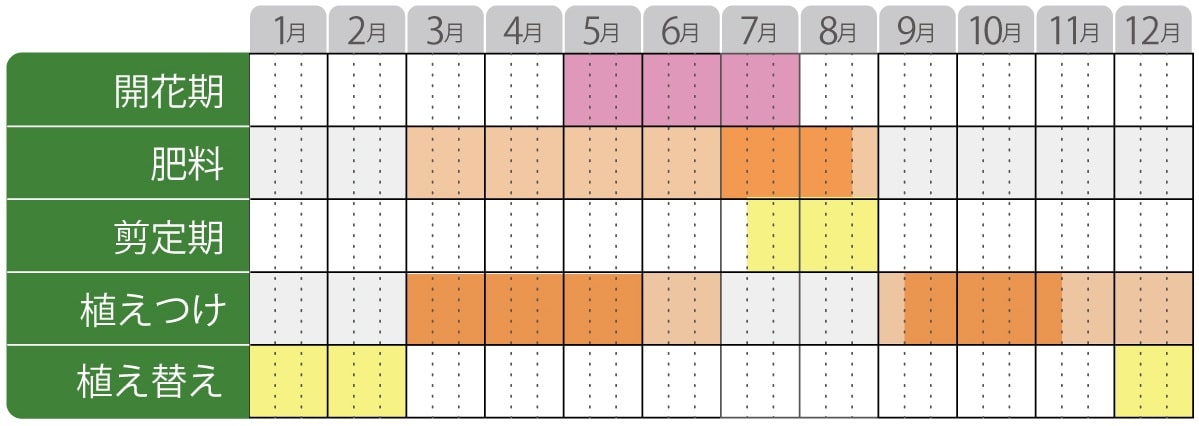 ラグランジアの栽培カレンダー