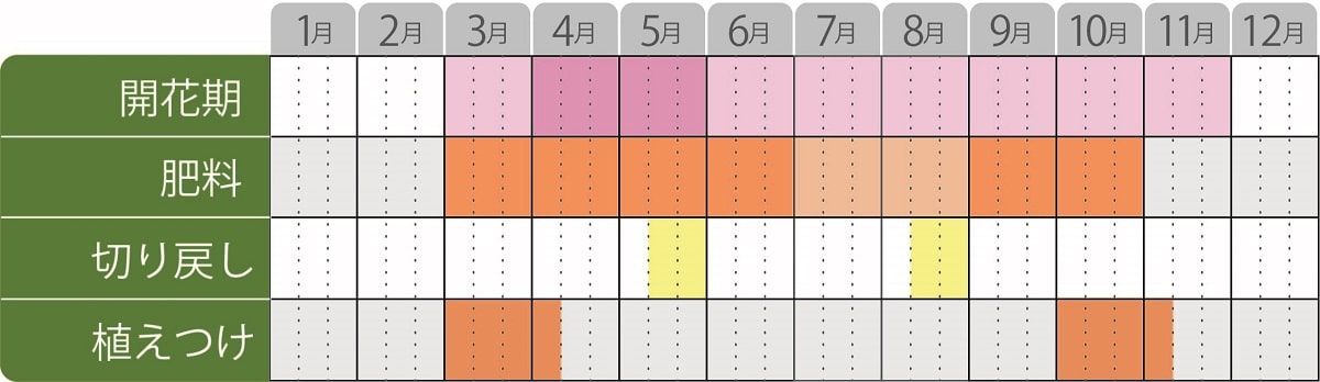 ダイアンサスふーりアムール栽培カレンダー