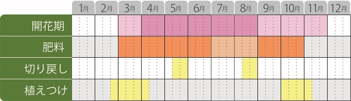 ダイアンサスフルーリアムールの栽培カレンダー