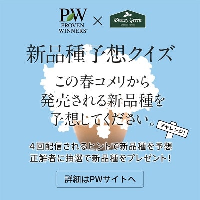 新品種予想クイズ！～ 4月21日（金）まで