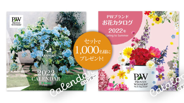 22年カレンダー Pwブランド お花カタログ プレゼント Pw ガーデニング 園芸 花苗 低木 多肉植物 花 植物 Proven Winners プルーブンウィナーズ