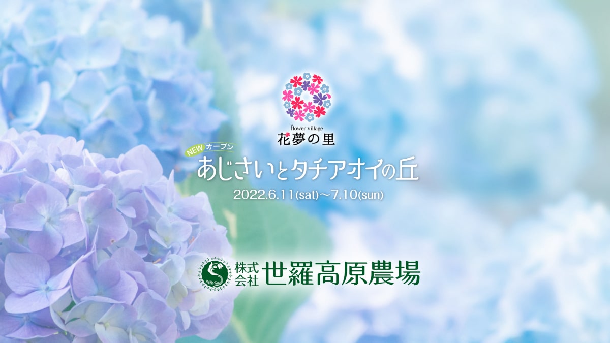 広島県 世羅高原農場にあじさいとタチアオイの丘オープン Pw ガーデニング 園芸 花苗 低木 多肉植物 花 植物 Proven Winners プルーブンウィナーズ 広島県 世羅高原農場にあじさいとタチアオイの丘オープン Pw ガーデニング 園芸 花苗 低木 多肉植物 花 植物 Proven Winners プルーブンウィナーズ