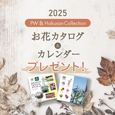 【募集期間】～12月8日(日)まで