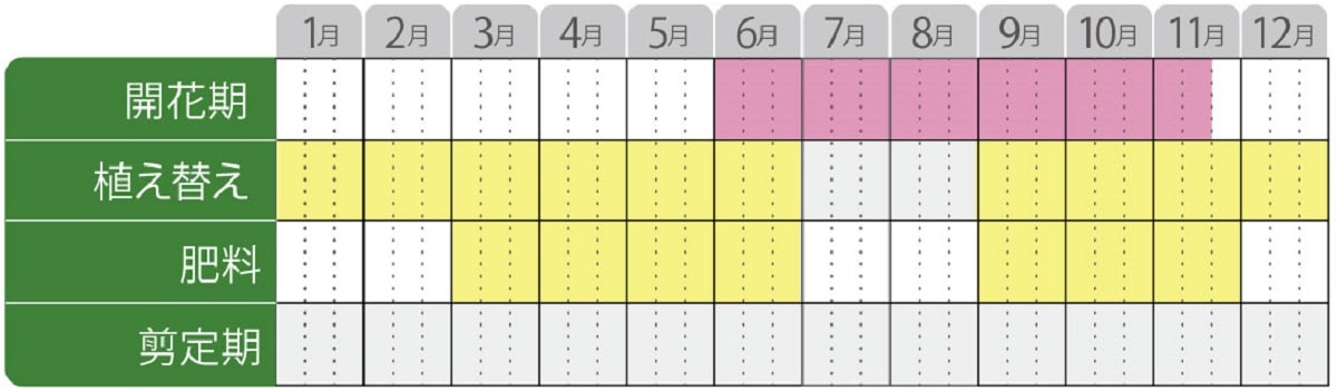 ガーデンブバルディア栽培カレンダー