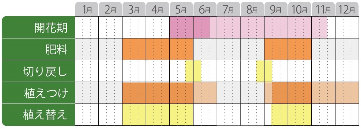 フロックスオープニングアクト栽培カレンダー