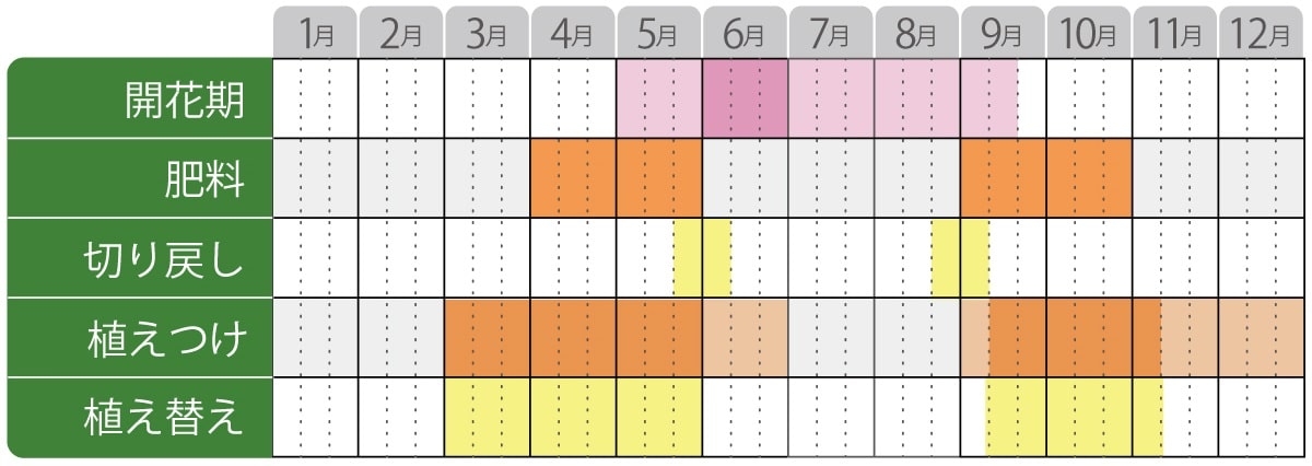 レーマニア栽培カレンダー