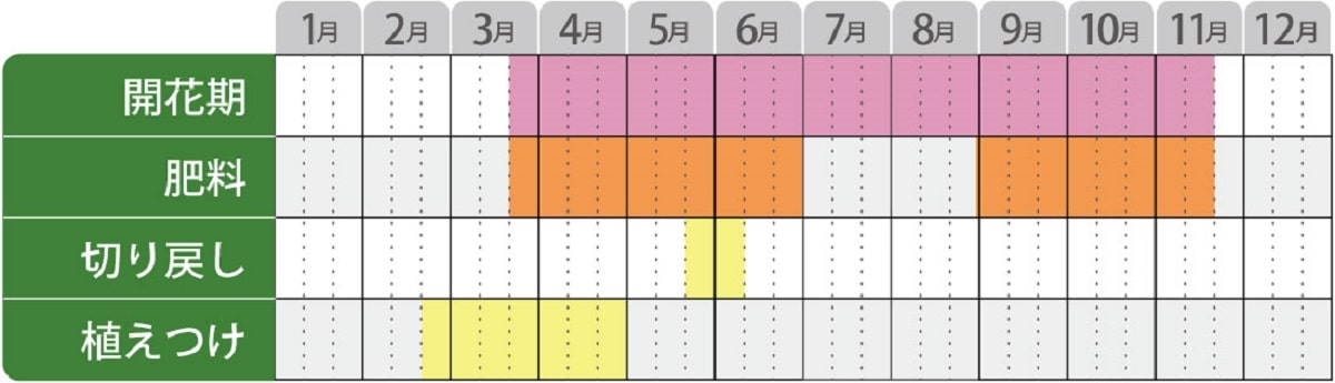 ロベリア栽培カレンダー