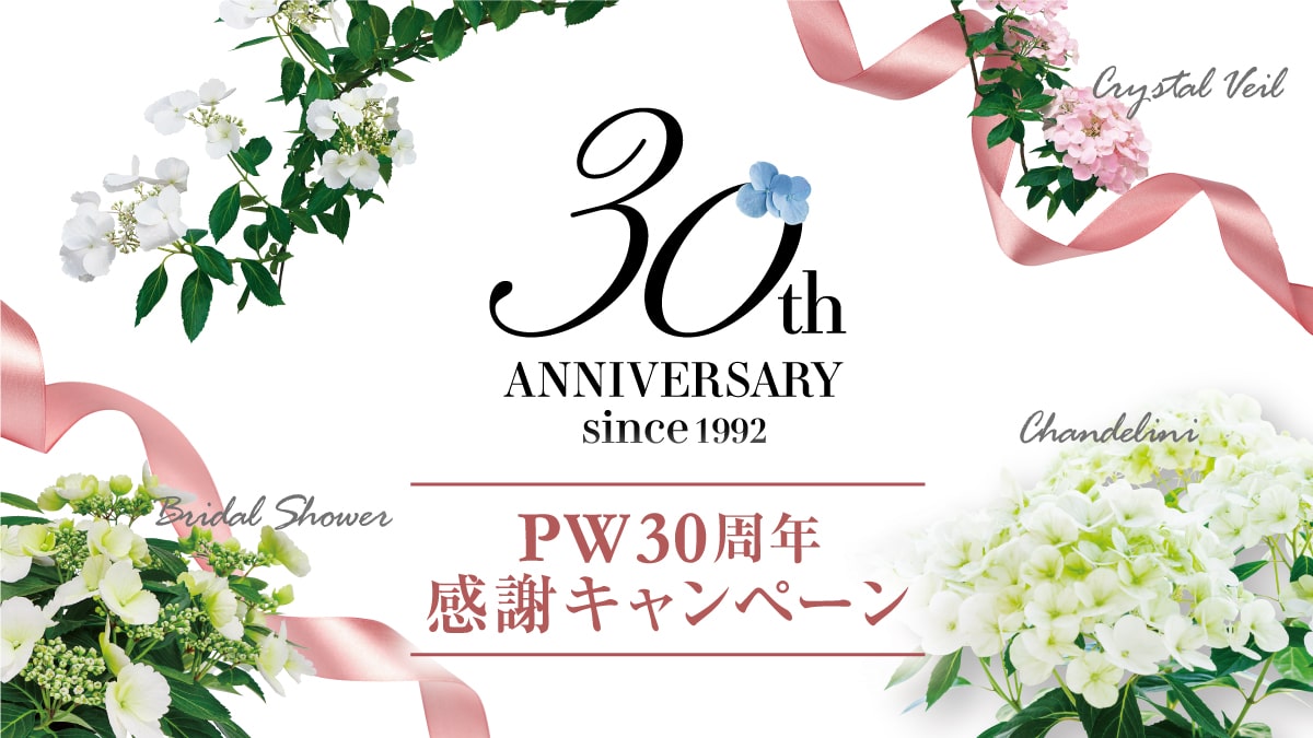 PW30周年感謝キャンペーン