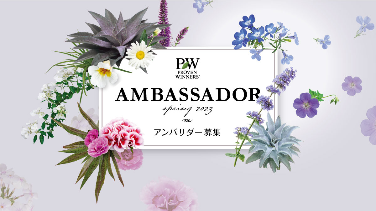 PWマンガベアンバサダー