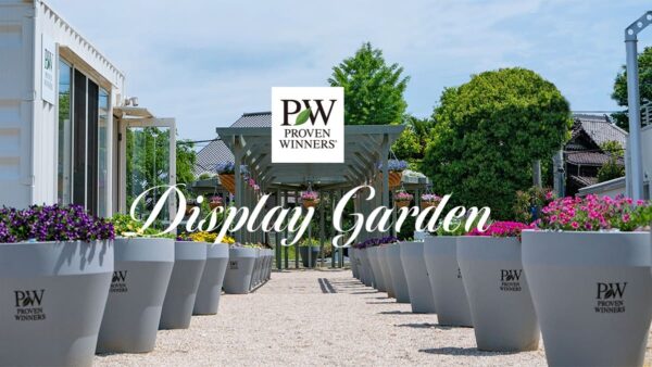 PW_display_garden_main-600x338.jpg