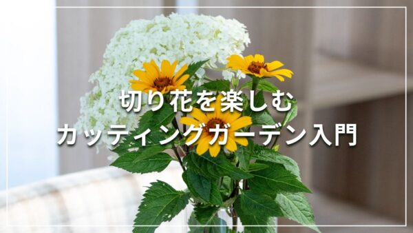 切り花を楽しむカッティングガーデン入門