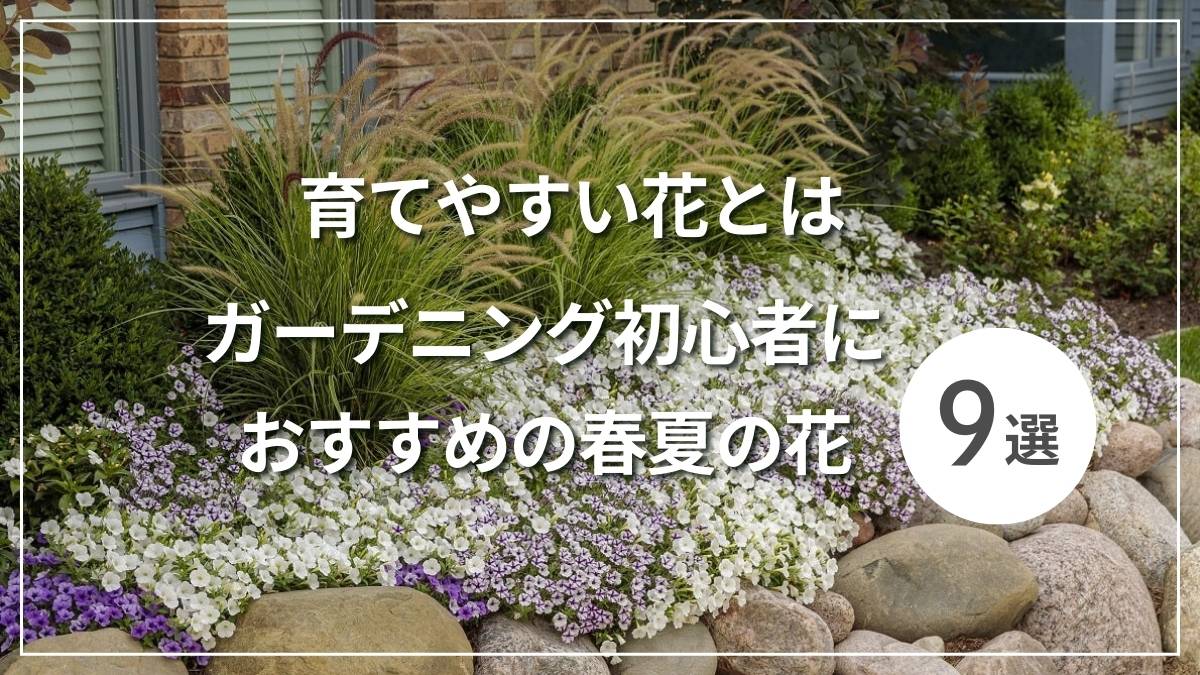 育てやすいお花を選ぶポイント