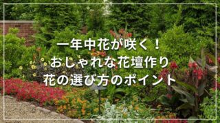 一年中花が咲く！おしゃれな花壇作り 花の選び方のポイント