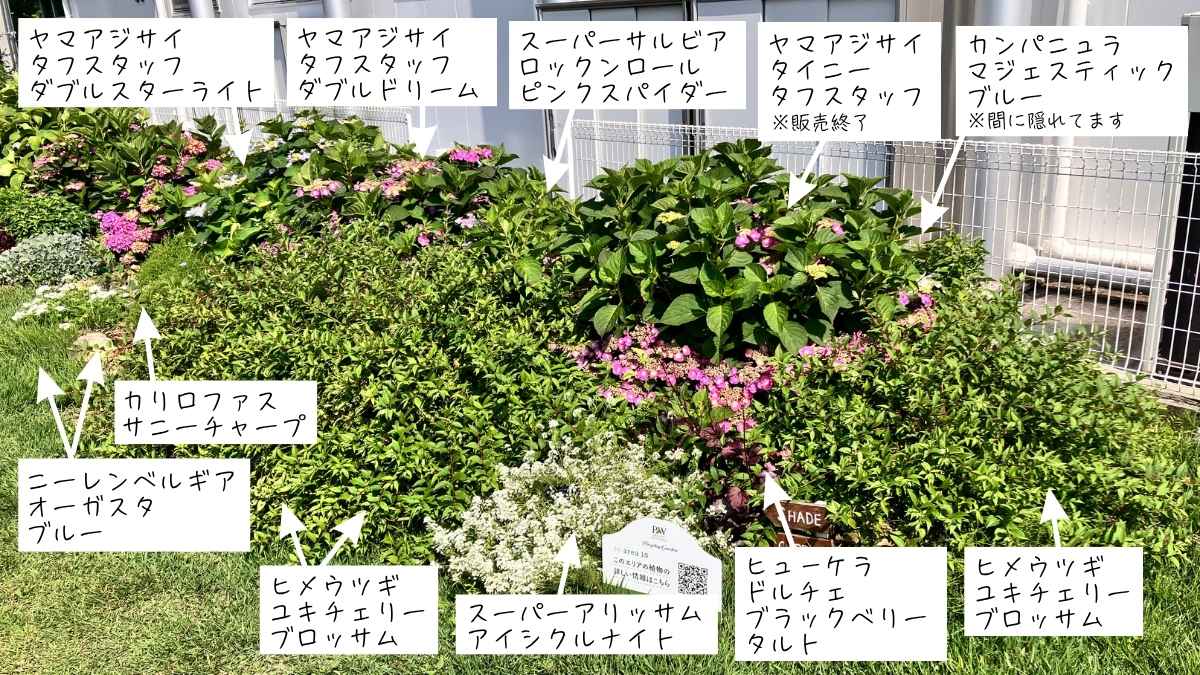 PWガーデンエリア10