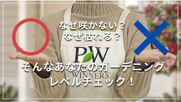 なぜ咲かない？なぜ枯れる？そんなあなたのガーデニングレベルチェック！