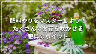 肥料やりをマスターしよう！たくさんのお花を咲かせる肥料のポイント