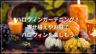 ハロウィンガーデニング！寄せ植えやお庭でハロウィンを楽しもう