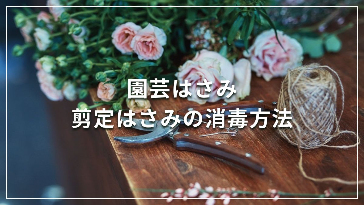 園芸はさみ剪定はさみの消毒方法