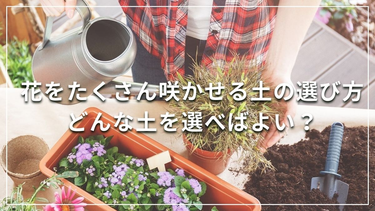 花をたくさん咲かせる土の選び方 どんな土を選べばよい？ | PROVEN WINNERS (PW)【植物の国際ブランド】  花苗｜シュラブ(低木)｜ペレニアル（宿根草・多年草）｜多肉植物