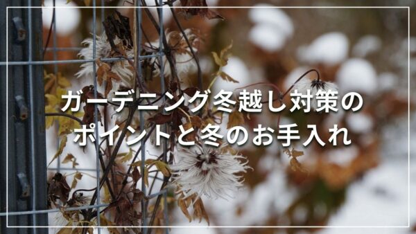 ガーデニング冬越し対策のポイントと冬のお手入れ