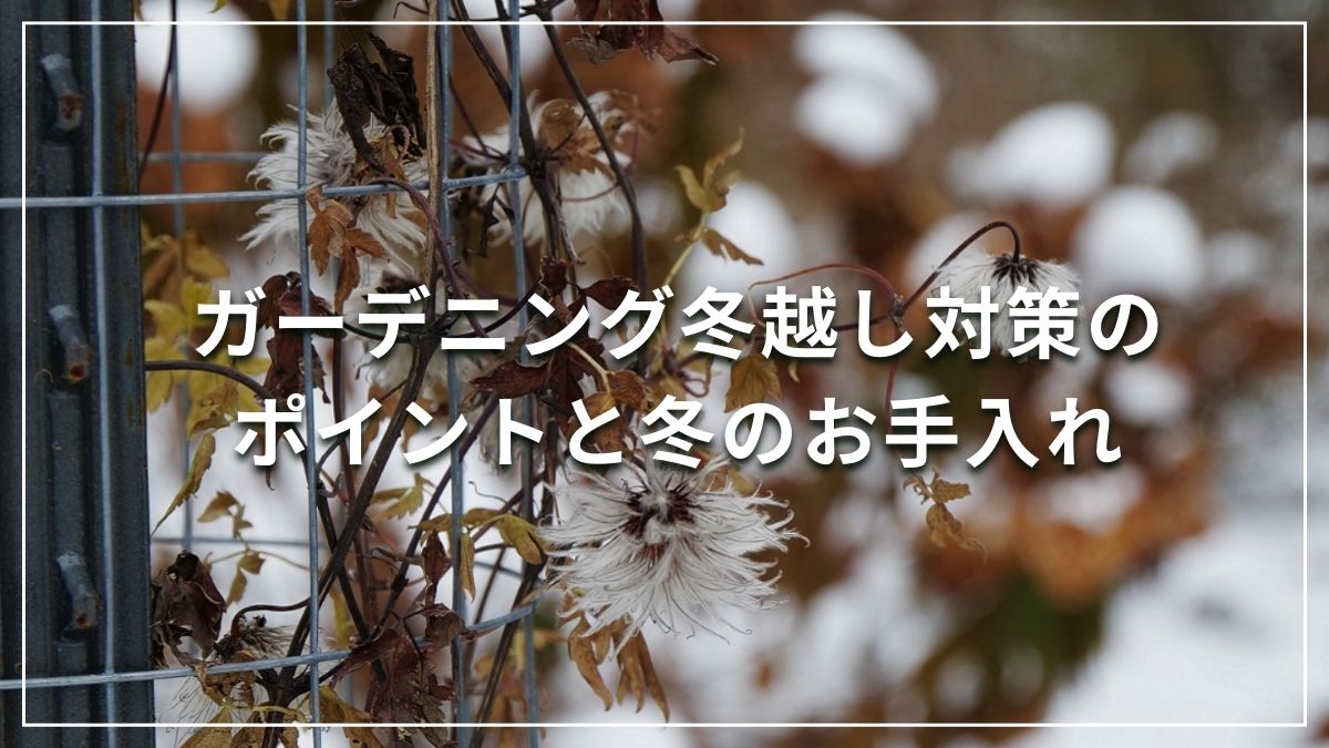 ガーデニング冬越し対策のポイントと冬にやるべき庭仕事