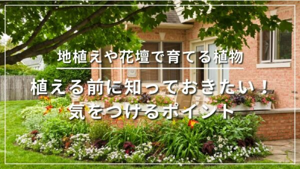 地植えや花壇で育てる植物 植える前に知っておきたい！気をつけるポイント