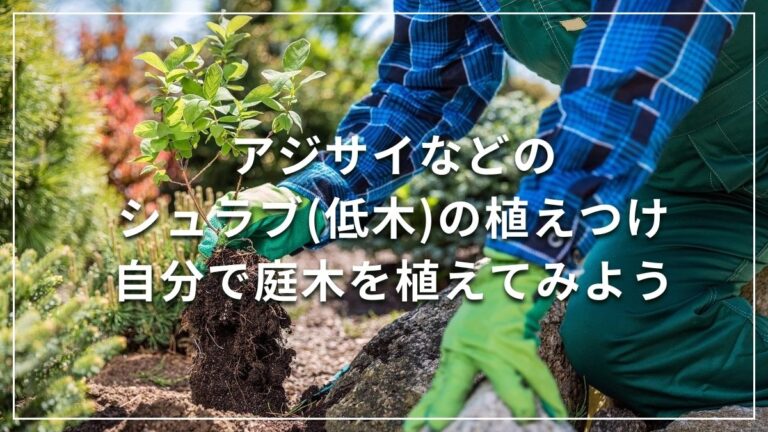 植木の植え方