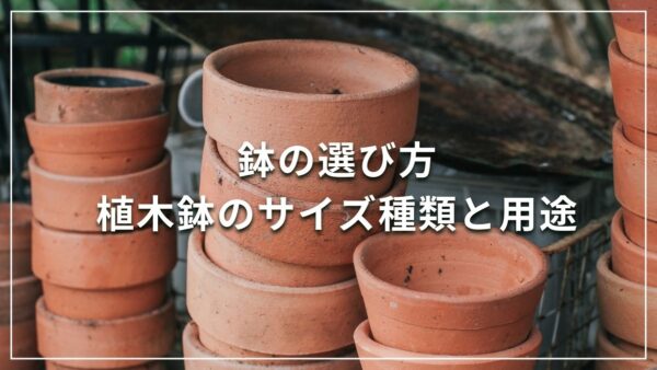 鉢の選び方 植木鉢のサイズ種類と用途