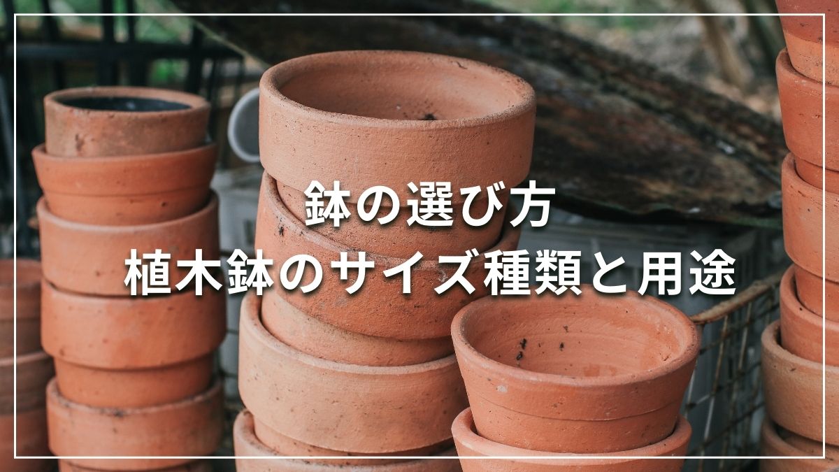 鉢の選び方 植木鉢のサイズ種類と用途 | PROVEN WINNERS (PW)【植物の国際ブランド】  花苗｜シュラブ(低木)｜ペレニアル（宿根草・多年草）｜多肉植物