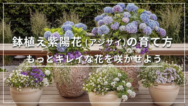 鉢植えでアジサイを育てる方法