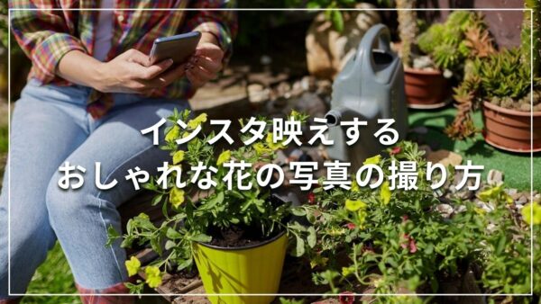 インスタ映えするおしゃれな花の写真の撮り方