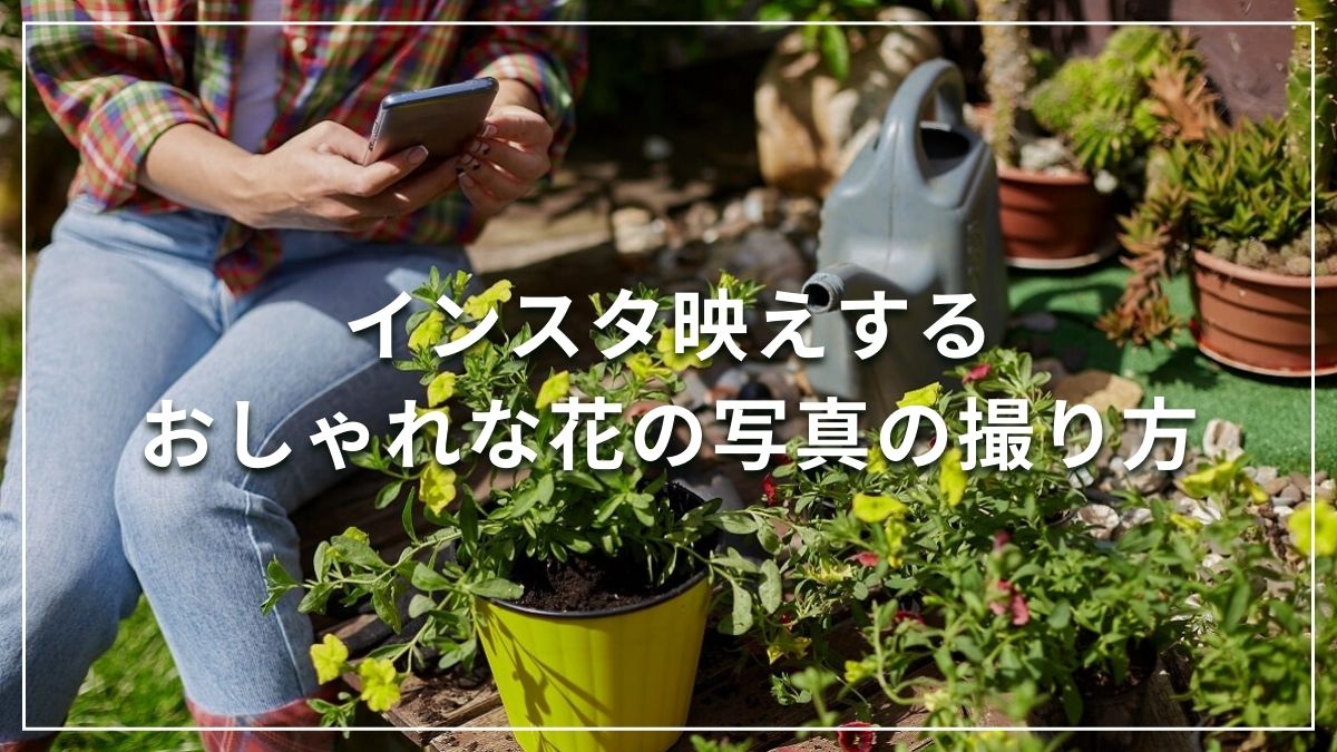 おしゃれな花の写真の撮り方