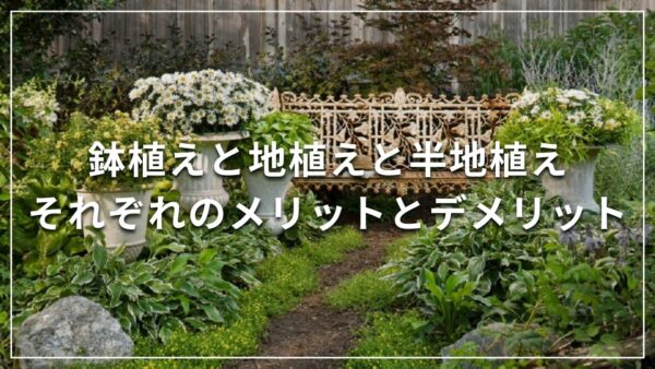 鉢植えと地植えと半地植えそれぞれのメリットとデメリット