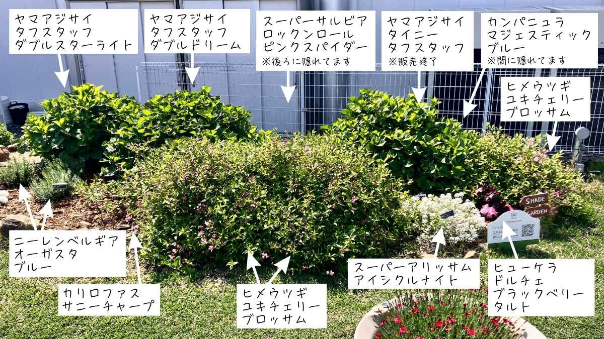 PWガーデンエリア10