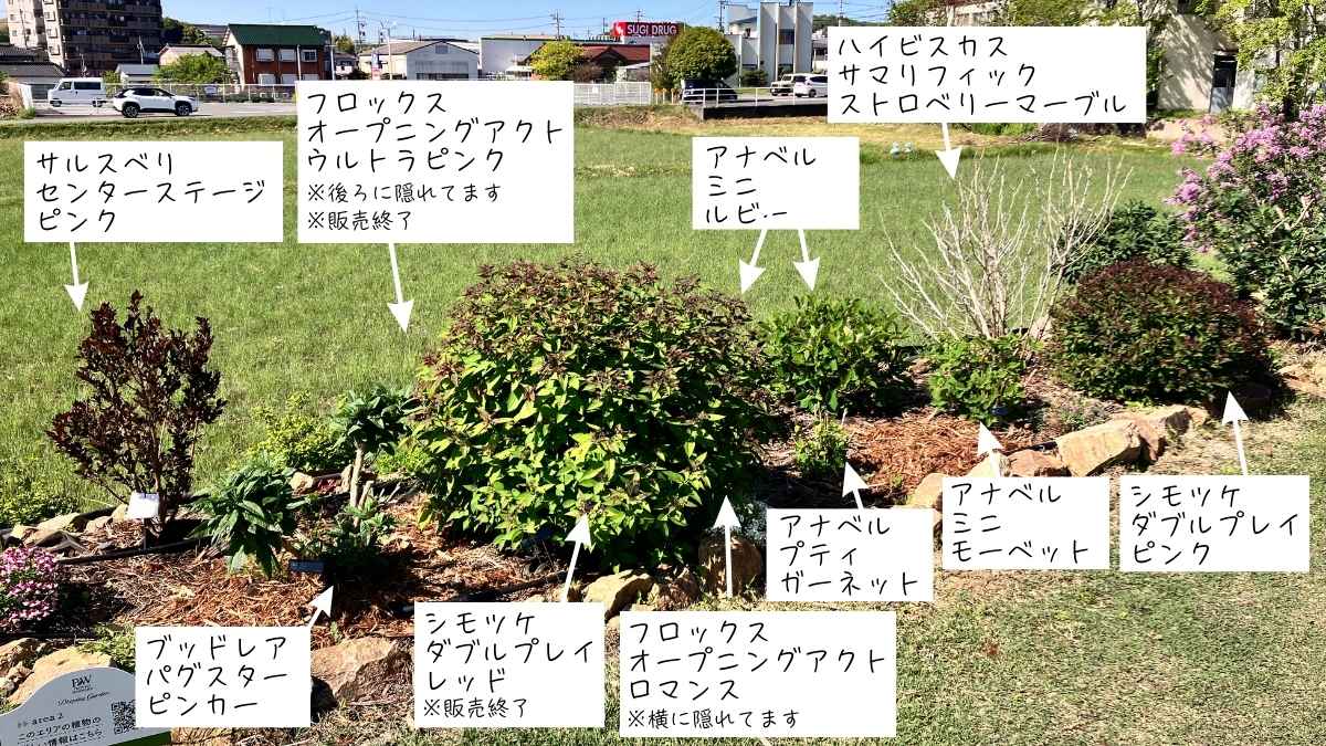 PWガーデンエリア2