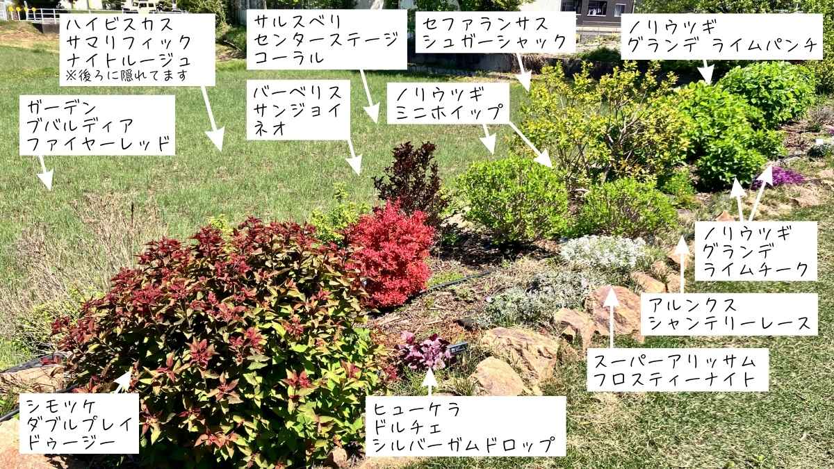 PWガーデンエリア4