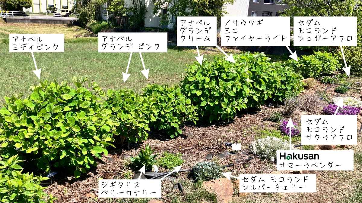 PWガーデンエリア5