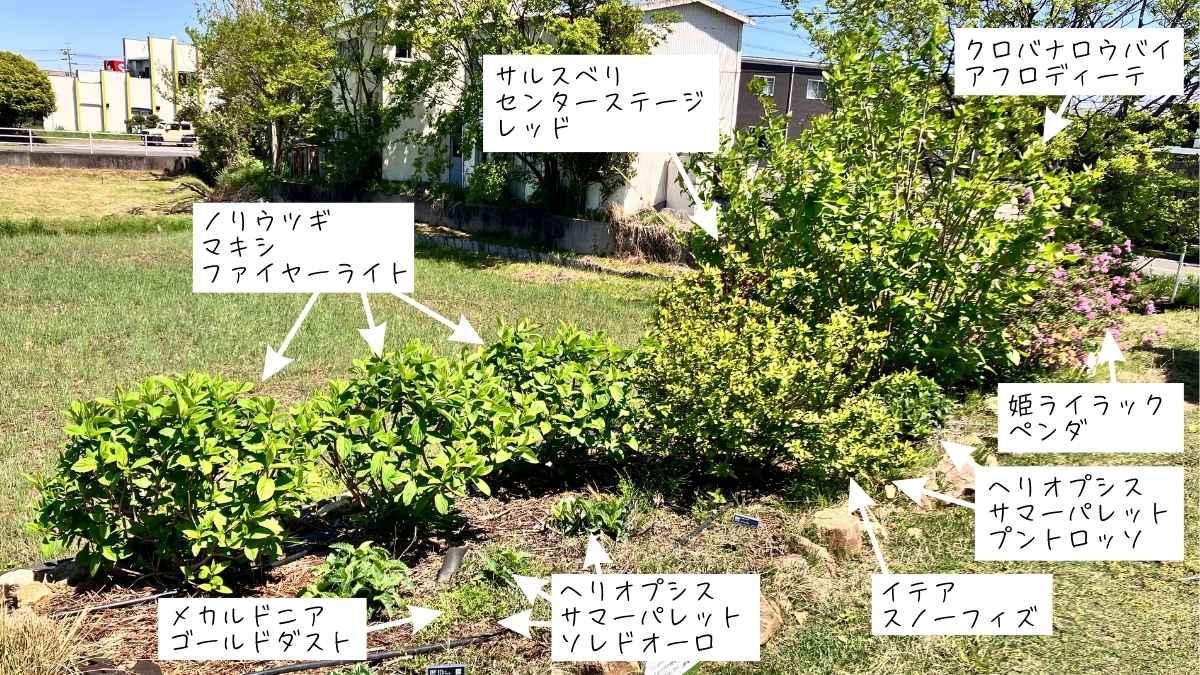 PWガーデンエリア6