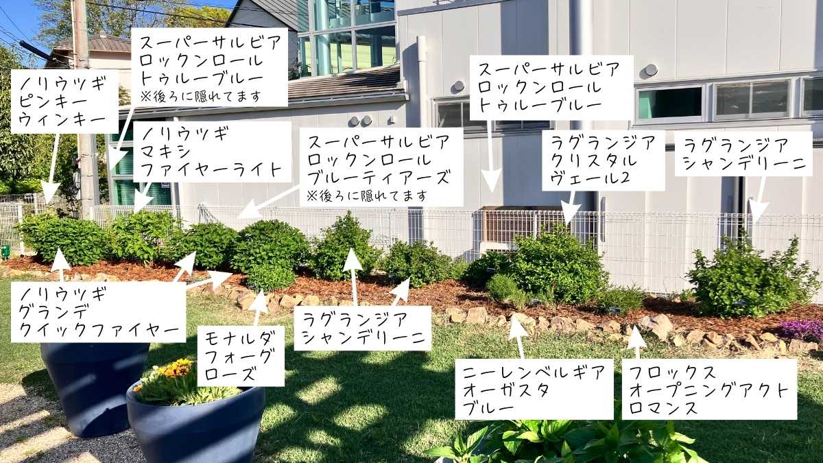 PWガーデン8
