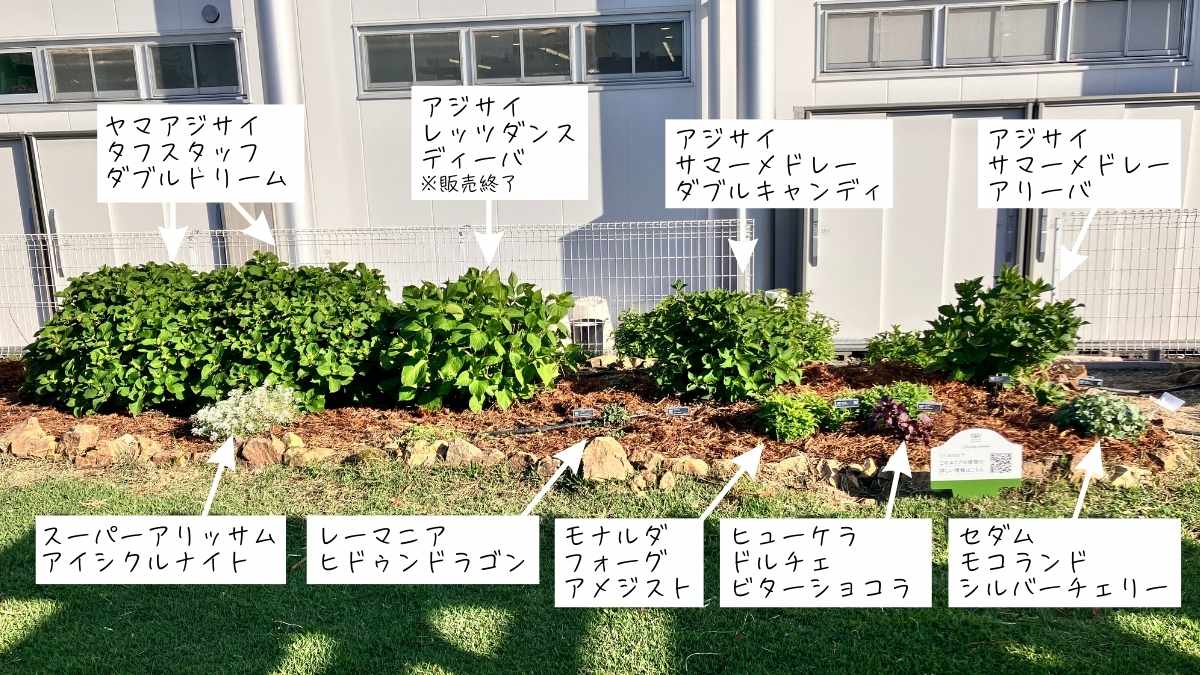 PWガーデン エリア9