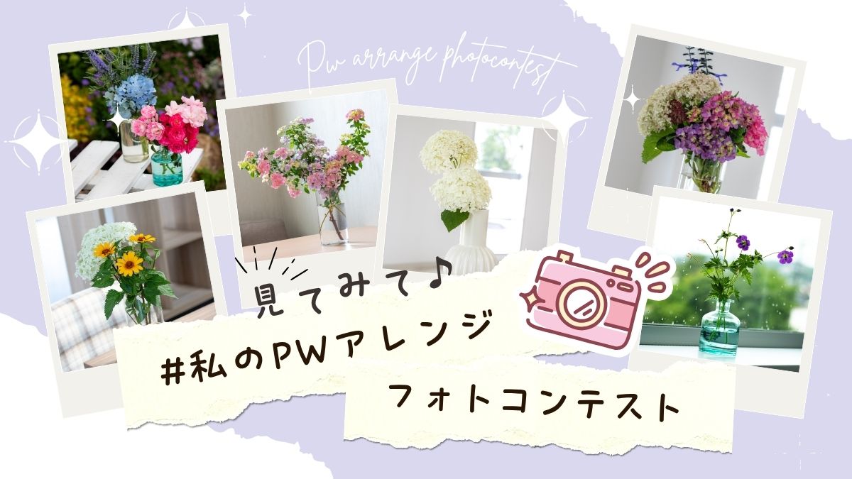 PWフォトコン2025【第2弾】