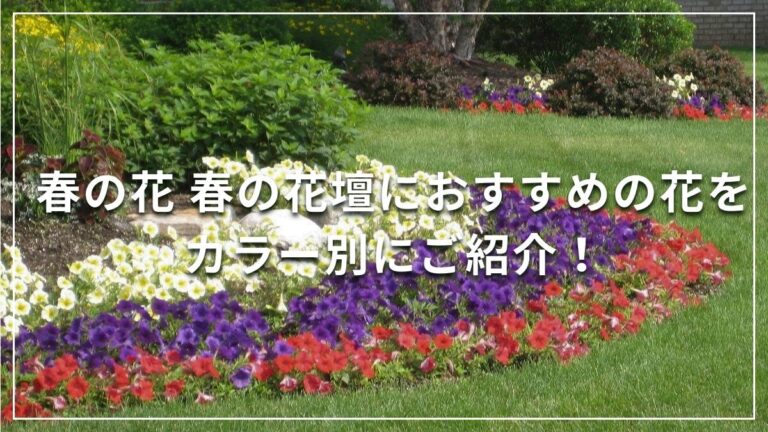 春の花　春の花壇計画を立てよう