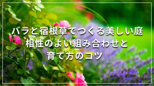 バラと宿根草でつくる美しい庭｜相性のよい組み合わせと育て方のコツ