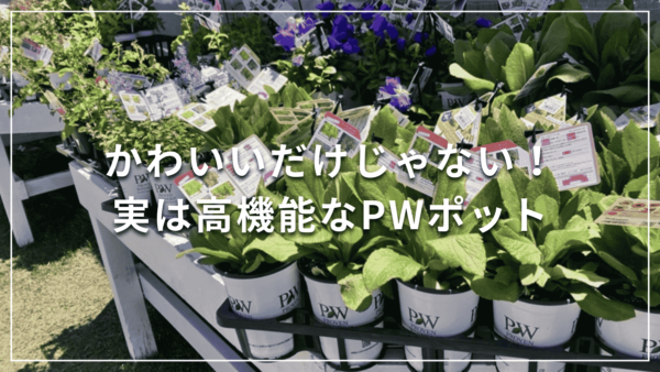 かわいいだけじゃない！実は高機能なPWポット