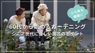 60代から始めるガーデニング | シニア世代に優しい園芸のポイント
