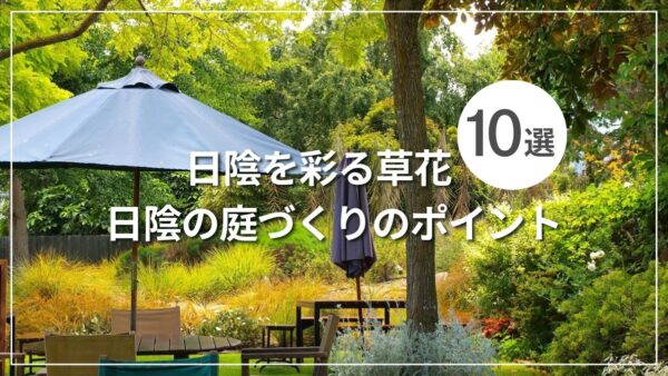 日陰を彩る草花10選！日陰の庭づくりのポイント