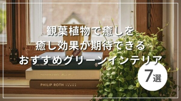 観葉植物で癒しを 癒し効果が期待できるおすすめグリーンインテリア7選