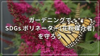 ガーデニングでSDGs ポリネーター(花粉媒介者)を守ろう