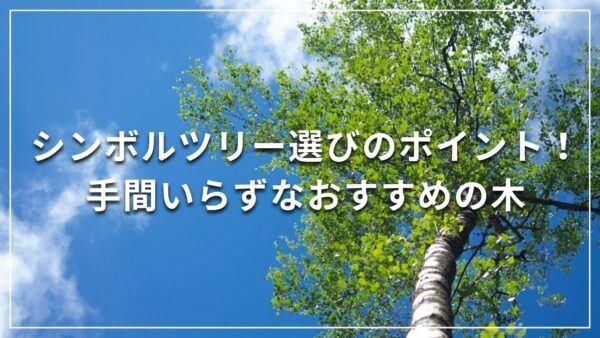 シンボルツリー選びのポイント！手間いらずなおすすめの木