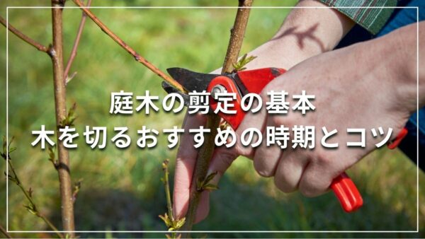 庭木の剪定の基本 木を切るおすすめの時期とコツ